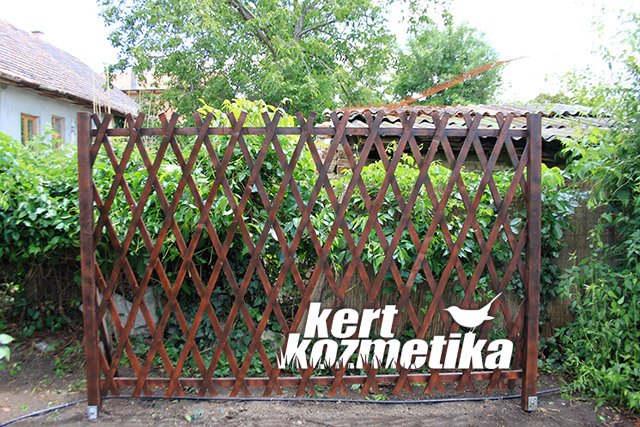 Festett apácarács (29)